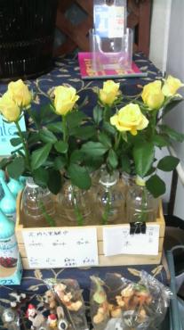 実験中｜「竹花園花店」　（岐阜県羽島市の花キューピット加盟店 花屋）のブログ
