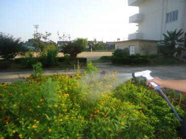 小学校の花壇の潅水｜「竹花園花店」　（岐阜県羽島市の花キューピット加盟店 花屋）のブログ