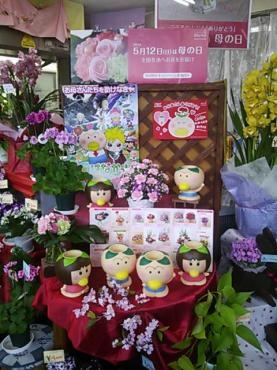 あるよぉ！！｜「竹花園花店」　（岐阜県羽島市の花キューピット加盟店 花屋）のブログ