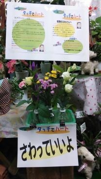 タッチでハート　再開です。｜「竹花園花店」　（岐阜県羽島市の花キューピット加盟店 花屋）のブログ