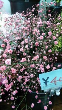 あけまして・・かすみ草｜「竹花園花店」　（岐阜県羽島市の花キューピット加盟店 花屋）のブログ
