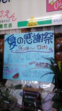 夏の感謝祭　開催中です。｜「竹花園花店」　（岐阜県羽島市の花キューピット加盟店 花屋）のブログ
