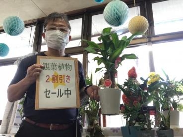 羽島の花屋さんのつぶやき・・・・　　お盆です。｜「竹花園花店」　（岐阜県羽島市の花キューピット加盟店 花屋）のブログ